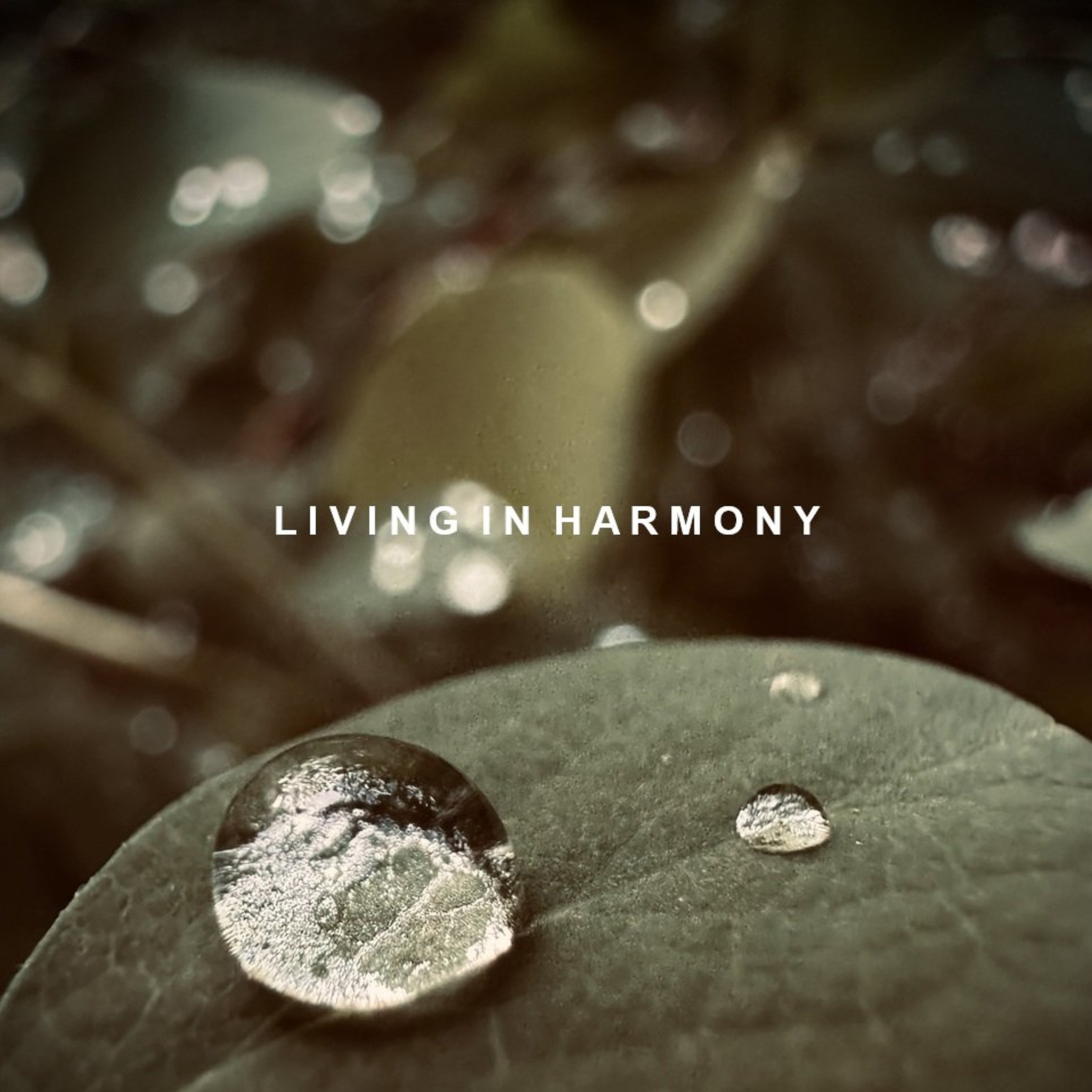 SVÖGAN - LIVING IN HARMONY 201