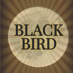 [GET] EBOOK 💕 Blackbird: An Unexpected Journey to Unearth my True Connection to God