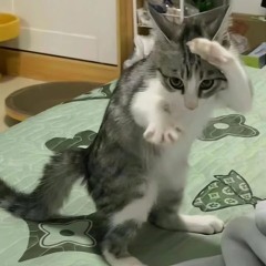 Bang Bang Bang Club Hous (nhac lot)