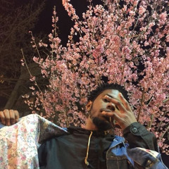 SWAGU (prod. Lanne Je’)