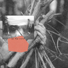 Sunflower Thieves - Say the Word