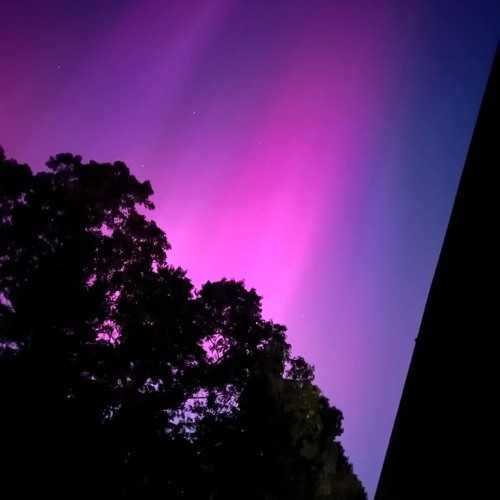 Starlight panorama - Blood Algorithm