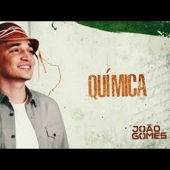 QUÍMICA - João Gomes (De Norte A Sul)