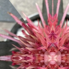 RbN 3301 - [test mix]