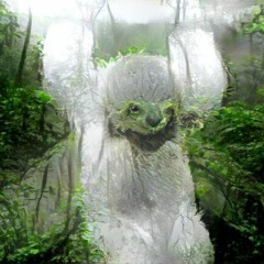 living in the sloth jungle