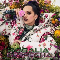 Rosalia - Despecha (Tony Dominguez Mashup 2K23) Preview + LINK