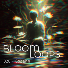 BLOOMLOOPS  020 | Cobahn