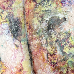 bipolarniBIOmatka