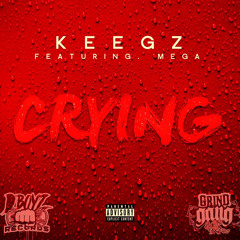 CRYING (feat.mega)