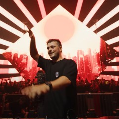 Martin Garrix, Third ≡ Party - Carry You (Digi-Boy's 2025 NewYear Festival Intro Edit)