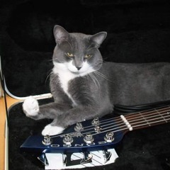 Rain When I Die Cover