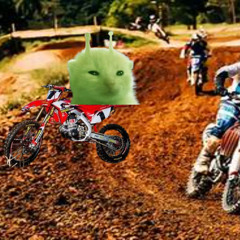 Alien Cat Riding A Dirtbike for 3000$
