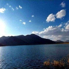 ساربان.__ای_شاخ_گل(720p).mp3