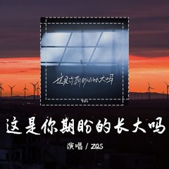ZQS - 这是你期盼的长大吗 [你很失望吧，大人的世界不快樂吧。]【動態歌詞/pīn yīn gē cí】