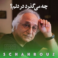 شمس لنگرودی | چه می‌گذرد در دلم؟