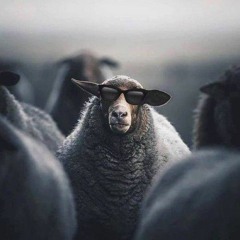 Persian Rap (phonk) - Rapfa