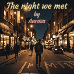 The Night We Met