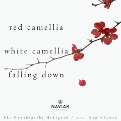 haiku #410: red camellia / white camellia / falling down