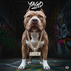 YAGO - (DRILL)