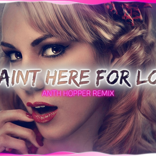 WE NOT HERE FOR LONG ( ANTH HOPPER REMIX )