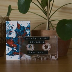 Eko Vol. 1 (Snippets)