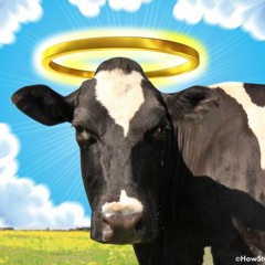 Holy Cow - Combstead / Robert Grigg