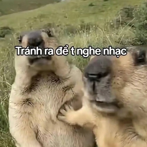 Gặp Em Đúng Lúc - Dani Remix