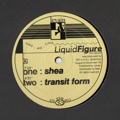 T&T - Liquid Figure (LVN001)