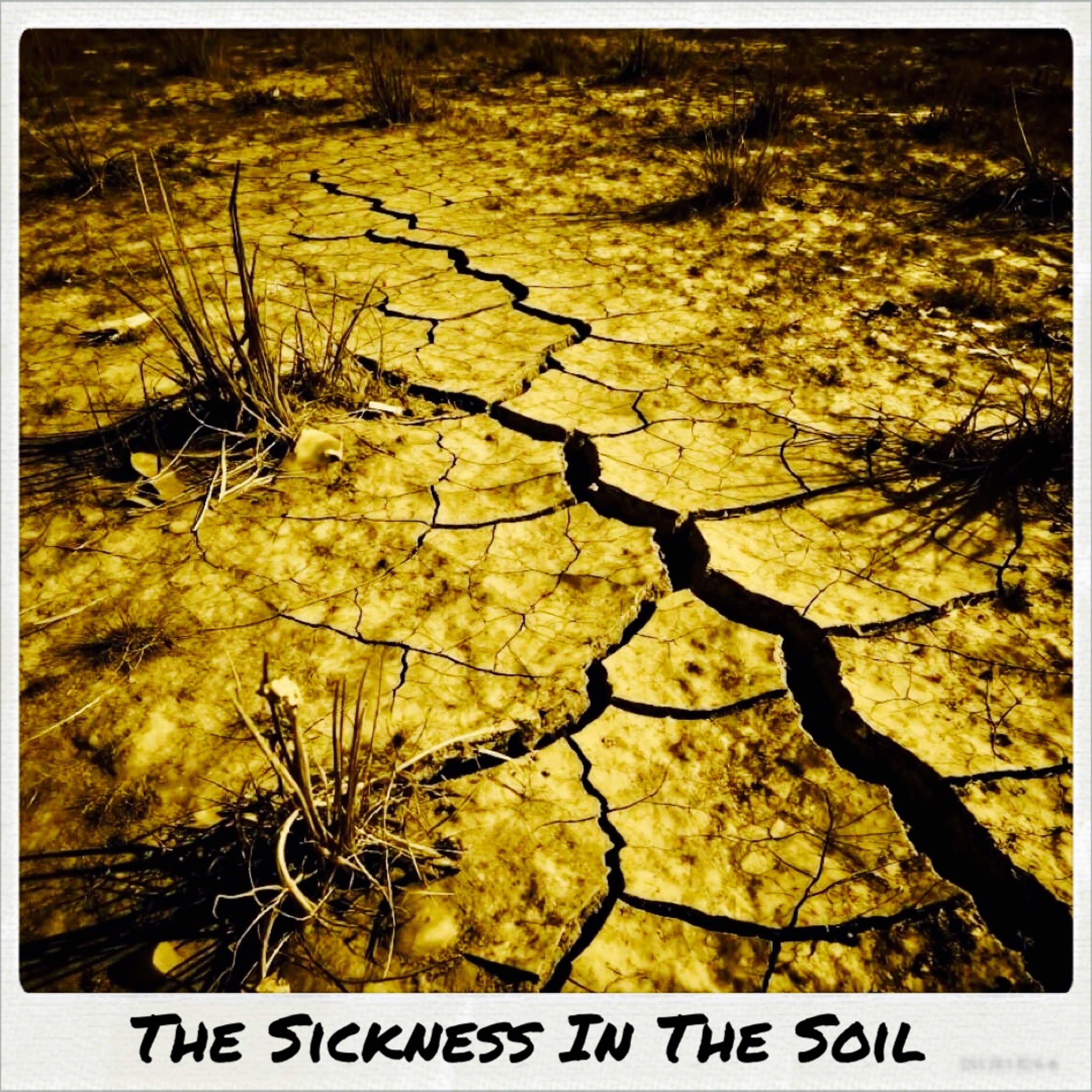 The Sickness In The Soil episode artwork