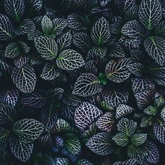 Textures
