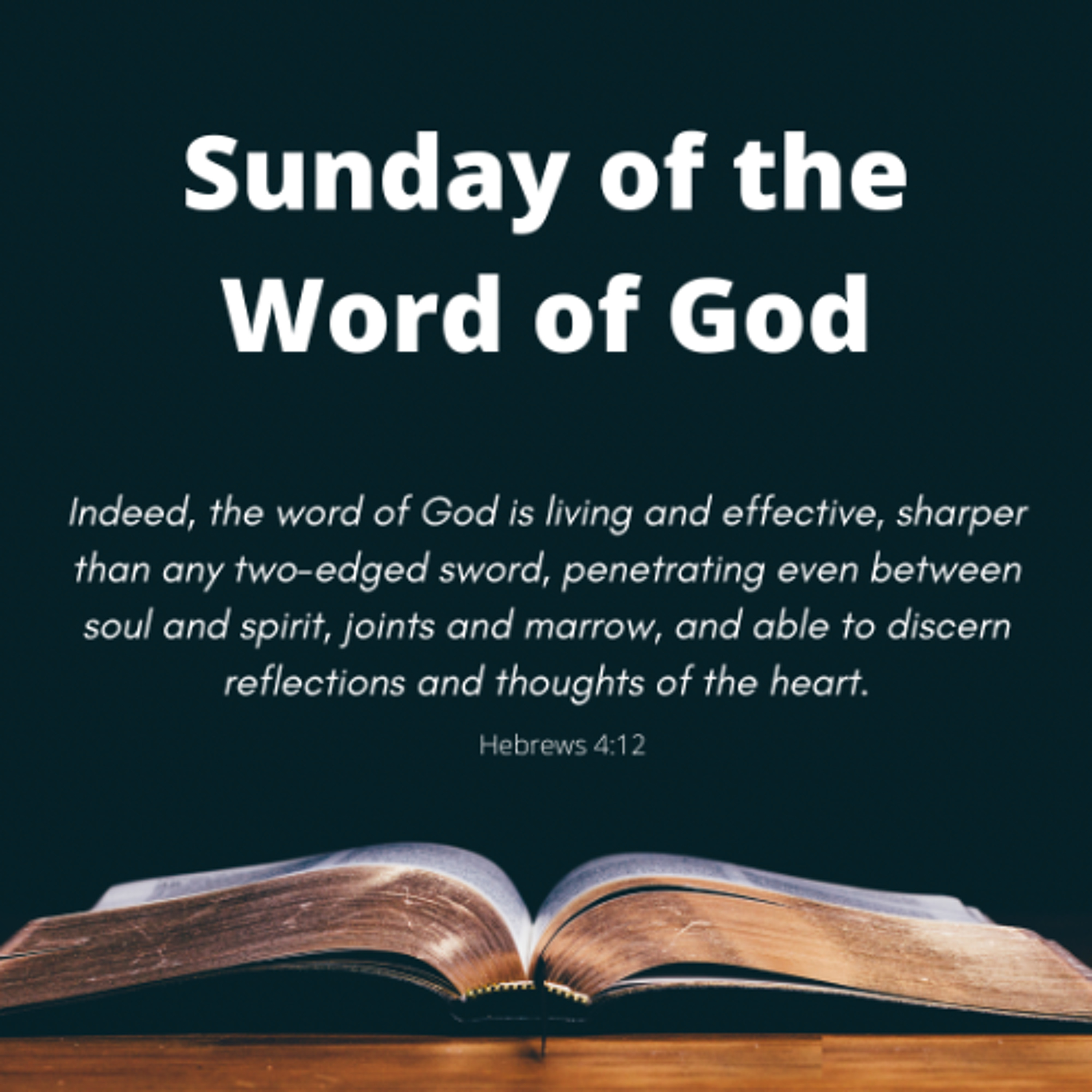 Fr. Darrick Leier Homily Podcast