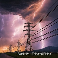 Eclectric Fields