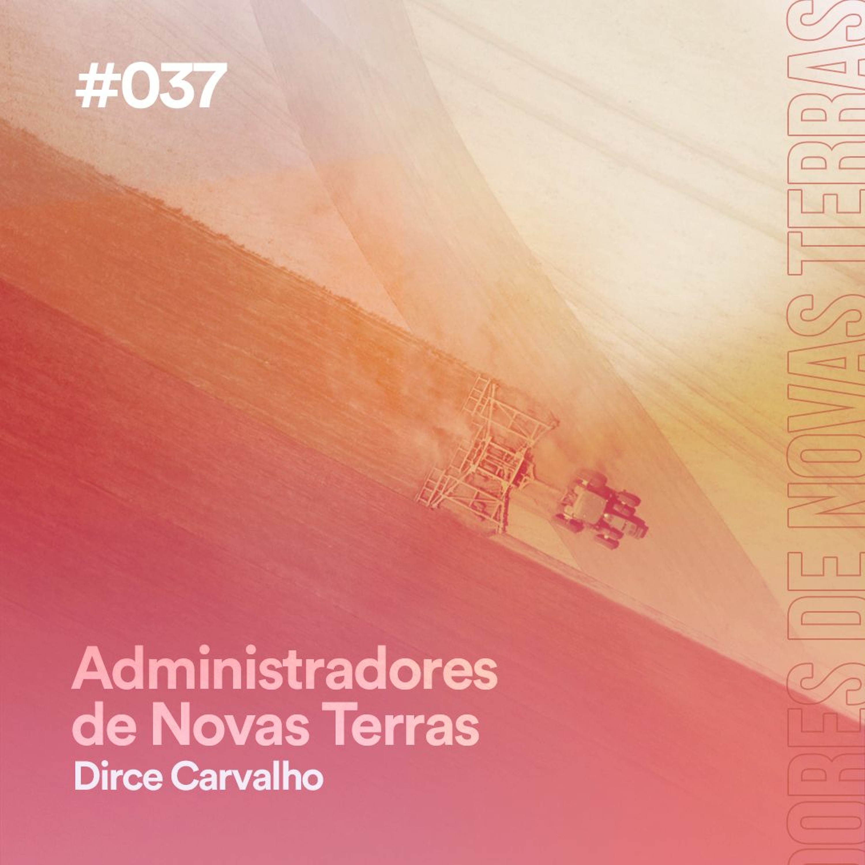 Dirce Carvalho