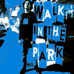 Feng - Walk in the park (sulay808 remix)