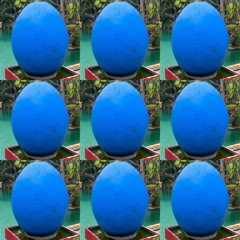 Tanz wie Khadafi remastered).mp3