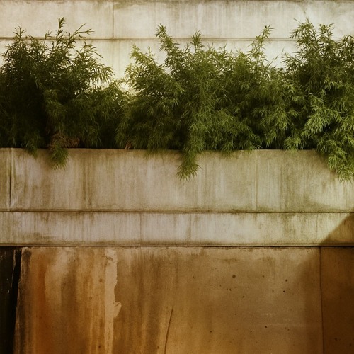 Jakoba @ Open Ground 200325