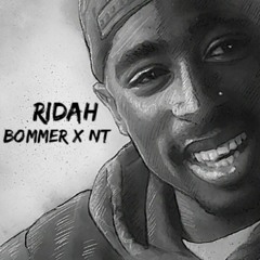 Bommer X NT - Ridah