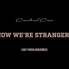 CENTRAL CEE - NOW WE'RE STRANGERS