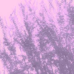 Freeze Corleone x Kalash Criminel x Evenwind - Glow