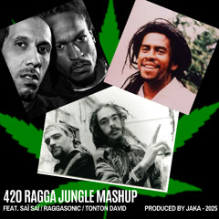 420 Ragga Jungle Mashup ft. Sai-Sai / Raggasonic / Tonton David