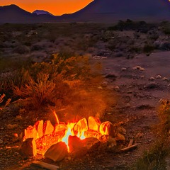 Nocturnal Fire