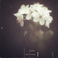 prayers for the unmade body