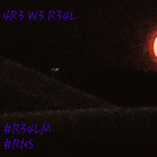 4R3 W3 R34L #R34LM #RNS [Prynce]