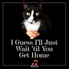 I'll Just Wait 'til You Get Home