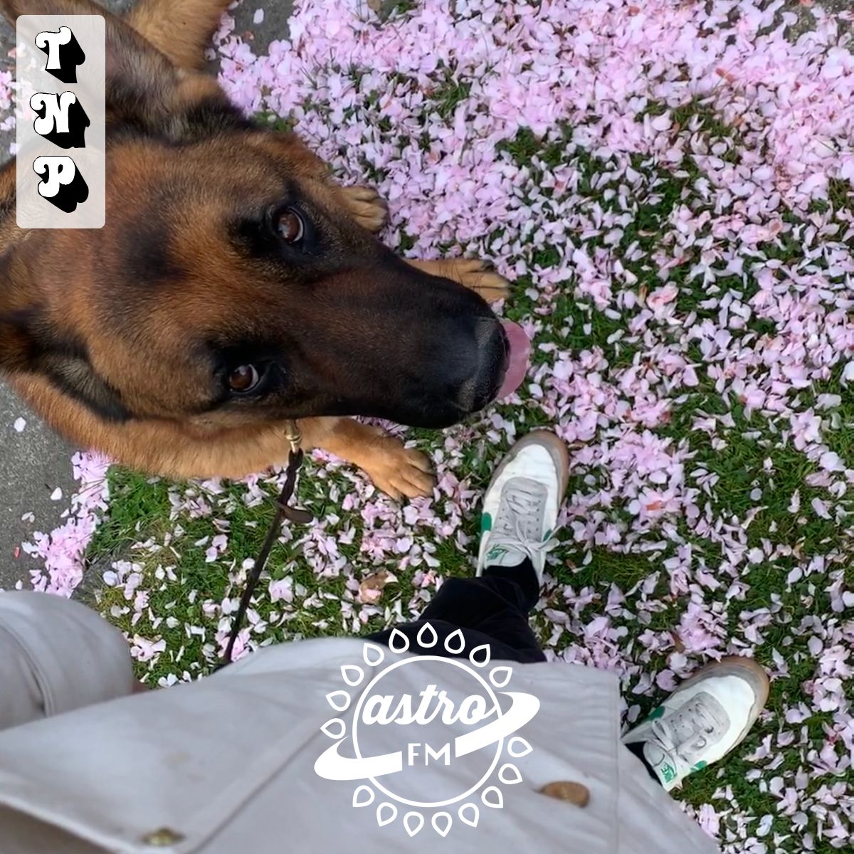 AstroFM 072 // Tasting Notes by David Diamond