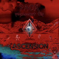 Liquid Stranger - Psychonaut (PACX Flip)