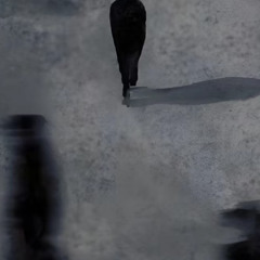 Jace!