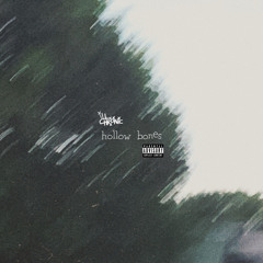hollow bones