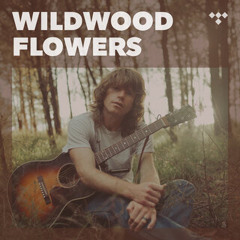 Wildwood Flowers: Best New Folk & Americana