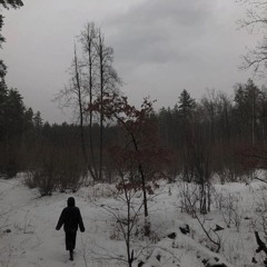 winter lofi beat or something